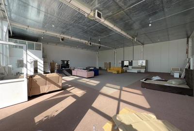 Showroom 457mp langa Carrefour, Kaufland, magazine tehnice - 8