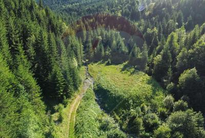 Teren 2,895mp Strada Priseci acces auto in zona telecabina BORSA - 7