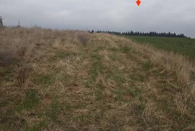 De vânzare terenuri intravilane în Reci - 8