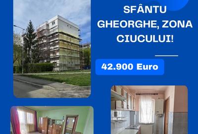 Apartament de vânzare în Sfântu Gheorghe, zona Ciucului! - 1