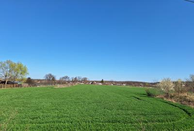 Ocazie!! deschidere 41m la DN1, pretabil vile/magazin/casa particulara - 5