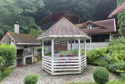 Cabana autentica de munte Frasinet - Baisoara 600 mp teren - 13
