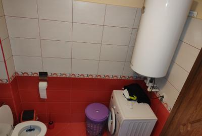 De vanzare Casa cu 3 camere si 2 parcele de teren comasate in Crai Nou - 4