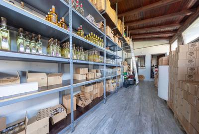 RASNOV | Cladire multifuncionala | De Vanzare | 350 mp | Vad comercial - 13