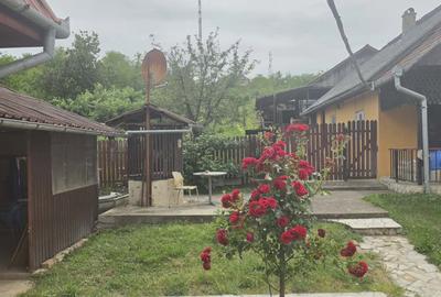 Casă cu teren 3.000 mp de vânzare, str. Adevărului-CV0529 - 24