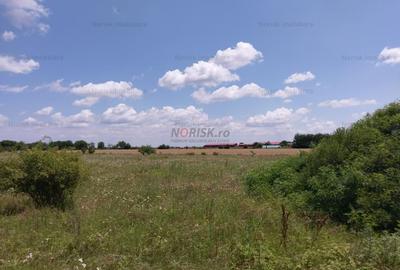 Oportunitate investitie teren  - DN4 - 7