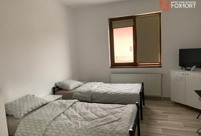 Casa individuala cu 16 camere de inchiriat, zona Sag - 12