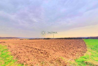 Teren agricol intravilan de 1174 mp, în Central