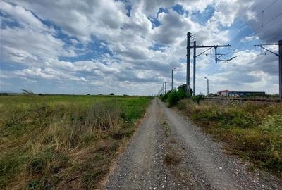 Ocazie!!! Teren cu PUZ pentru hala in Sofronea! - 4