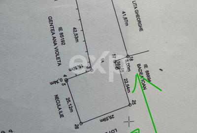 Teren 1650 mp intravilan Trivale - Olteni – cadru natural langa Padure - 3