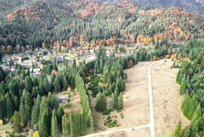 Poiana lui Manole - teren Intravilan - 26