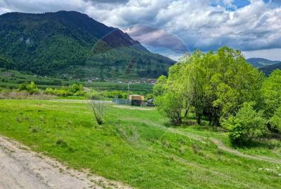 Teren 646mp intre Bran si Zarnesti (Tohanita,) intravilan - 8