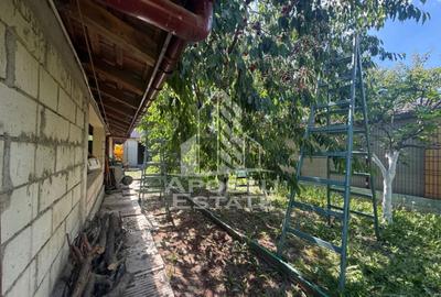 Casa individuala cu teren de vanzare, zona Plopi Timisoara - 16