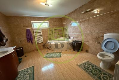 Casa D+P+M, 713 MP teren, 300 MP utili, Carcea, zona Metro - 9