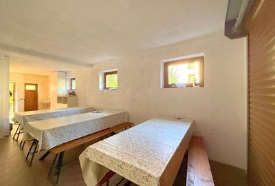 Casa de vanzare in zona Aradului - 987 mp teren - 21