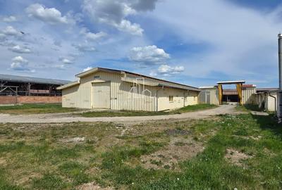 Teren + hale industriale 8785mp + casă–Oportunitate investiție / producție – - 26