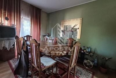 Casa Individuala impresionanta, curte bine amenajata, zona Semicentral - 9