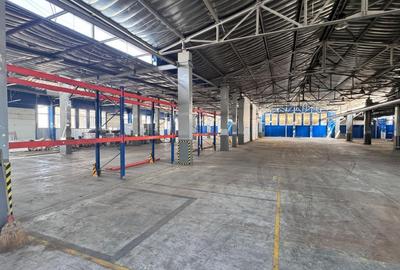 Hală industrială de închiriat 1500-3400 mp uta Arad - 19
