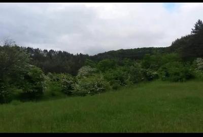 Vanzare teren intravilan 1540 mp in Faget - zona Sf Ion - 2