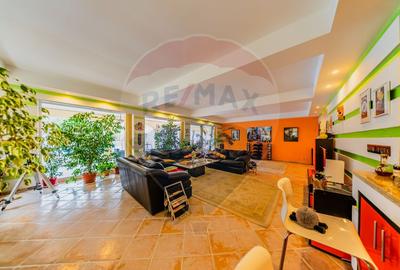 Vilă cu 4 camere de vânzare 921 mp zona Subcetate,Arad - 16