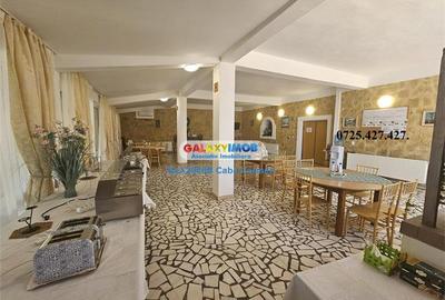 Vanzare Pensiune Solinia+Restaurant+piscina+debarcader-Dunavatu de Jos - 6