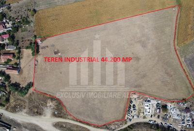Teren pentru contructii industriale | Hale, Depozite| aproape de Sebes - 6