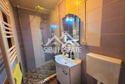 Apartament la mansarda Vasile Aaron - 4