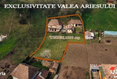 Casa deosebita in zona turistica pitoreasca Valea Ariesului - 2