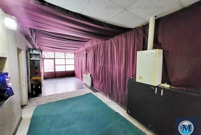 Spatiu comercial de vanzare, zona Cantacuzino, 337.45 mp #16444 - 10