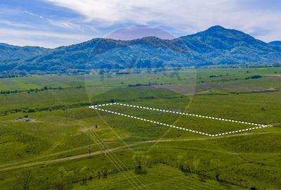 Teren 1ha, extravilan Rasnov / Agricultură sau fermă/ COMISION 0% - 6