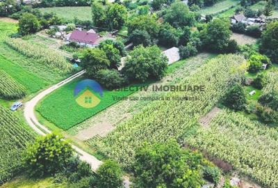 Teren Construcții intravilan de 4133 mp, în Boțești