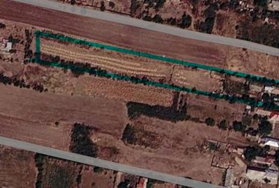 Vand! Casa cu teren 2300 mp. Judetul Giurgiu, Comuna Gogosari - 4