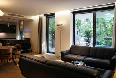Apartament unic Primăverii - Piața Charles De Gaulle - 14