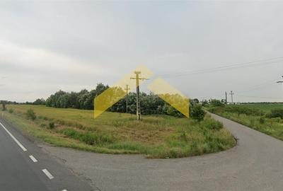 Teren extravilan vanzare pe DN7 langa Hanul de la Rascruce - 4