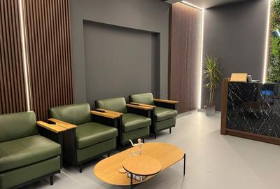 Vila Duplex  I Zona Aviatorilor - 1