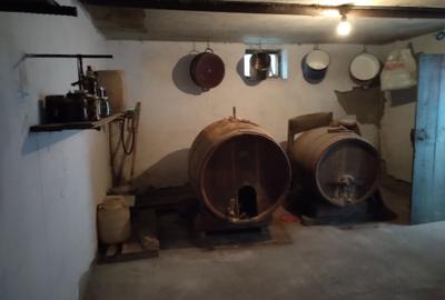 Casa cu teren -  central Segarcea - 14