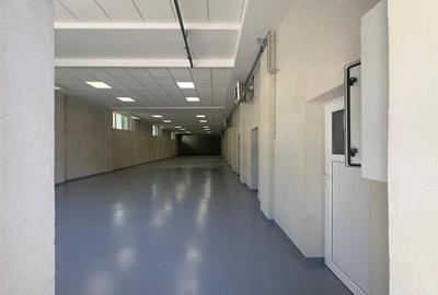Spatiu Valea Lupului, Antibiotice, multifunctional, 334mp - 14