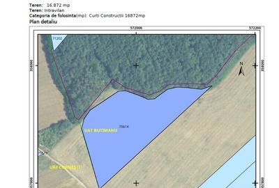 Teren agricol intravilan de 16872 mp, în Butimanu