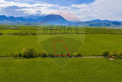 Teren agricol extravilan de 3000 mp, în Pănicel