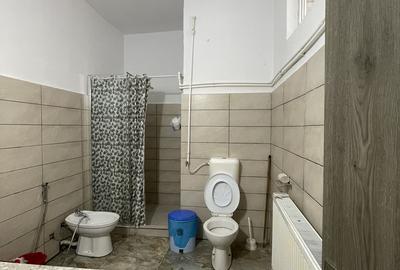 Comision 0 / Apartament in vila interbelica Cismigiu / Ministerul Învățământului - 10