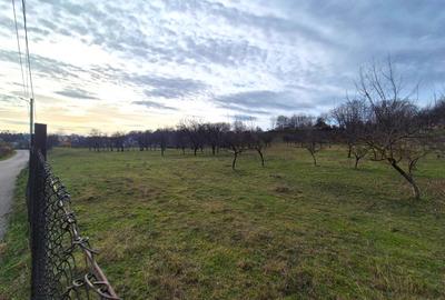 Teren intravilan  Vălenii de Munte – 9.123 mp | Deschidere 45 ml | Lângă râul Te - 5