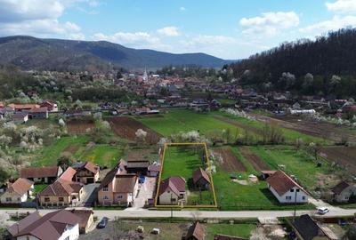 Colț de natură: casă + teren mare în Săvârșin - 1