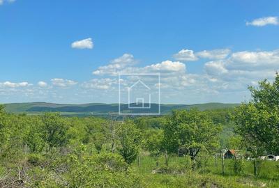 Teren intravilan cu priveliste superba in zona Sibiel - 5