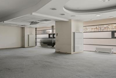 Spatiu comercial de inchiriat Sos. Pantelimon nr. 258 (Piața Delfinului) - 9