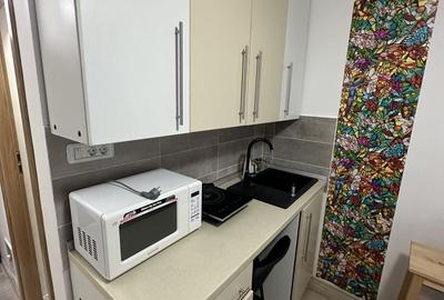 Apartament 1 camera la Mansarda - 3