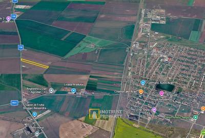 Teren agricol de vanzare Arad - 3