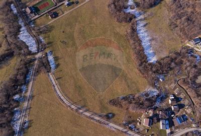 Teren de vanzare  Intravilan 19.341 mp – Cheile Râșnoavei, Parcelabil - 14