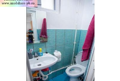 Casa de vanzare - Bereasca - 15