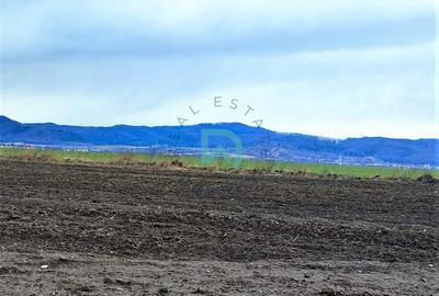 Teren Agricol, Cristian - 9
