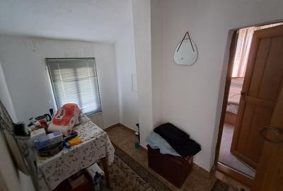 Valcani, proprietate cu casa taraneasca - 7